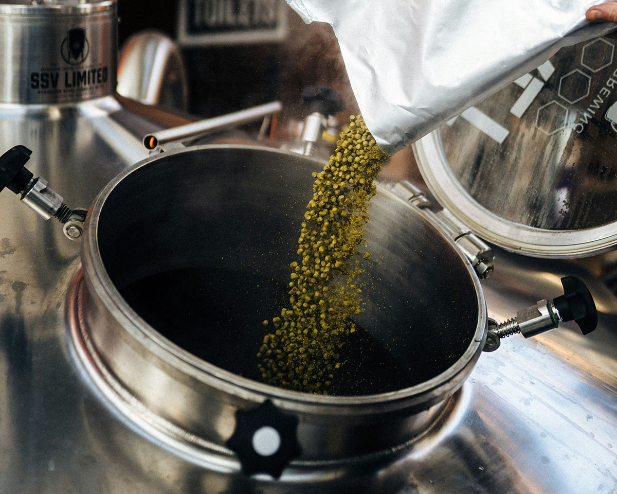 Fermentrack — Monitor and control your fermentation